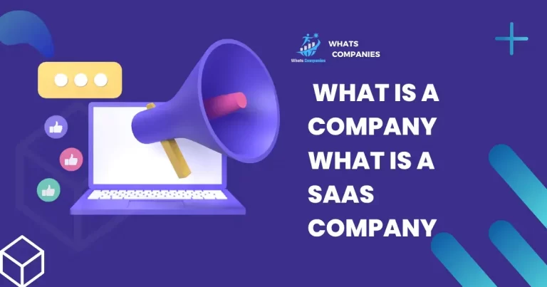  What is a SAAS Company?