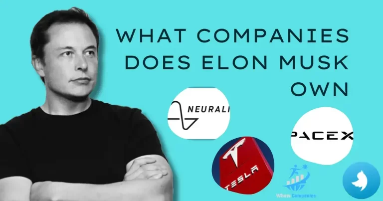 What Companies Does Elon Musk Own